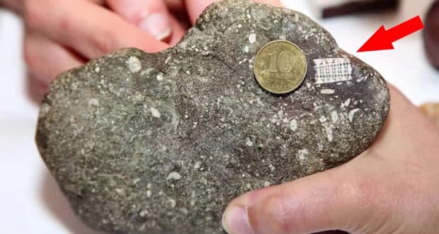 راز «میکروچیپ ۲۵۰ میلیون ساله» روسیه فاش شد: حقیقت شگفت‌انگیزتر است