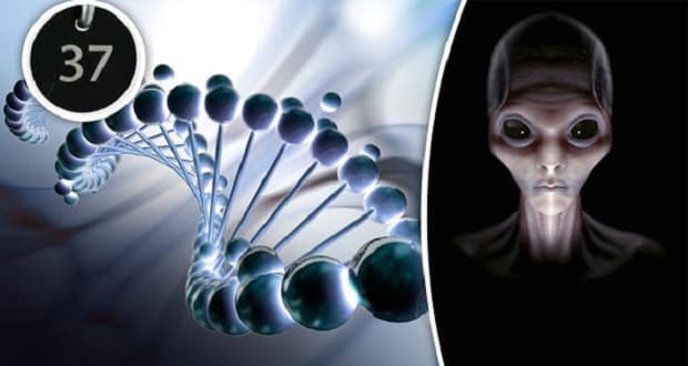 راز عدد 37 در DNA انسان؛ آیا ما ساخته‌ی موجودات فضایی هستیم؟