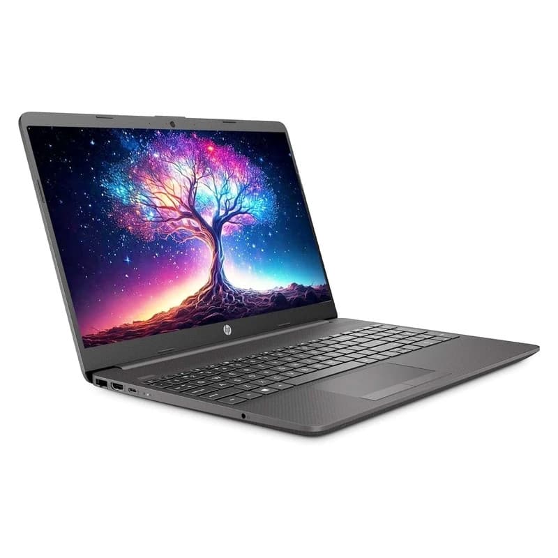 لپ تاپ 15.6 اینچی اچ‌ پی مدل G9 250-Celeron N4500-16GB DDR4 2933MHz-1TB SSD-SVA-HD - کاستوم شده
